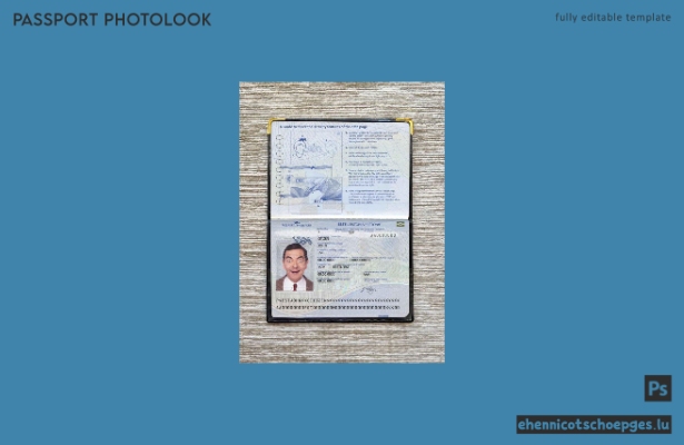 Beispielansicht eines Passfotos für Estland